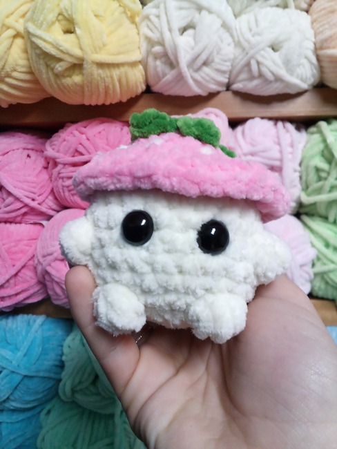 Tinytailscrochet's make photo for Strawberrybuddy (Low Sew!)