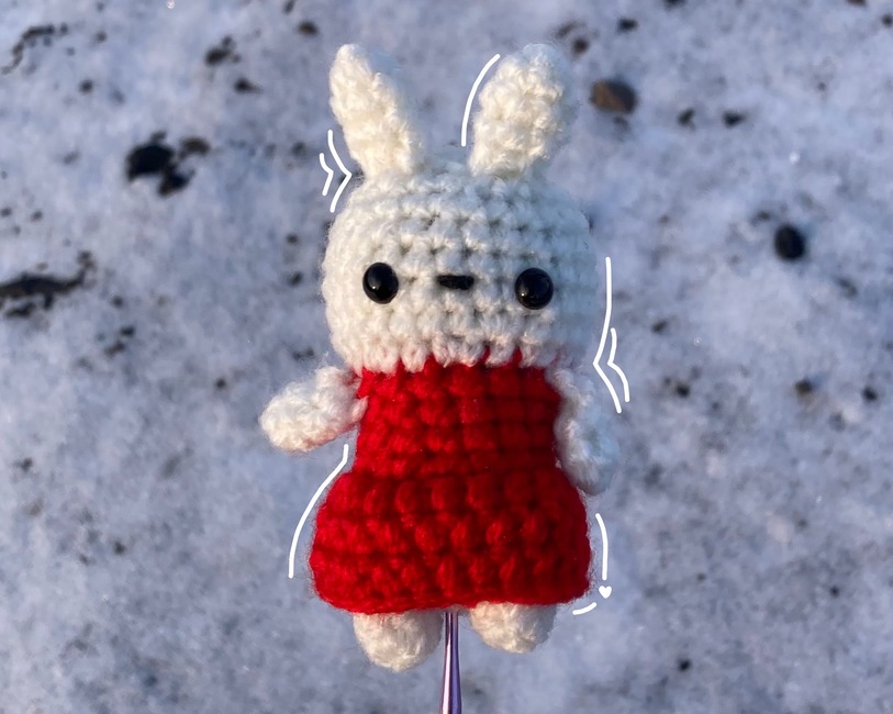 AvaFey's make photo for 2-in-1 Kitty and Bunny Low-Sew Crochet Pattern
