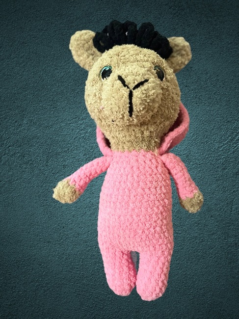 TheKnottyUnicorns's make photo for Pajama Llama (Low Sew)