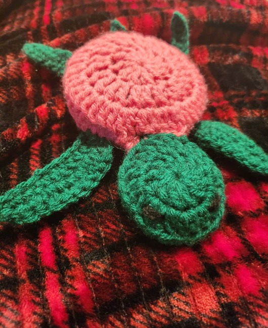 Baked710's make photo for Turtle Coaster