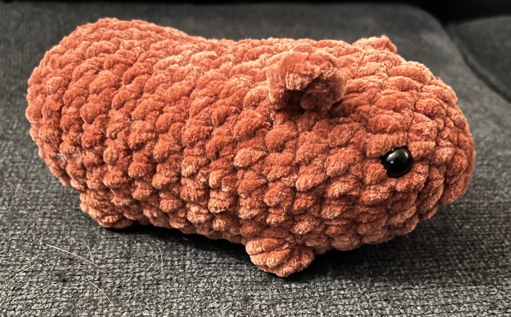 PhotonFiber's make photo for Free guinea pig