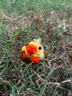 my bb ducky