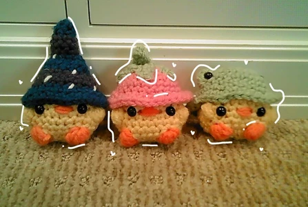 Chicks