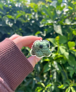 small pocket frogs