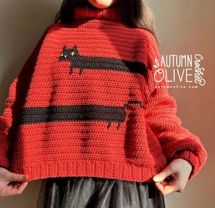 long cat colorwork graph