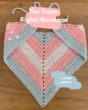 The Trans Rights Bandana