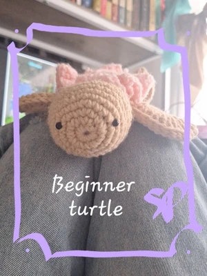 Bigger turtle