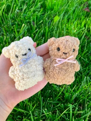 The Pocket Pal Bear