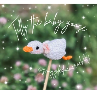 Tilly the baby goose