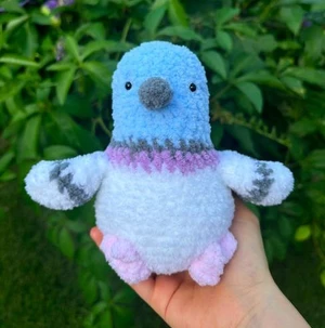 Pigeon