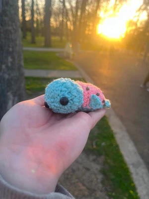 Water the mini melon turtle