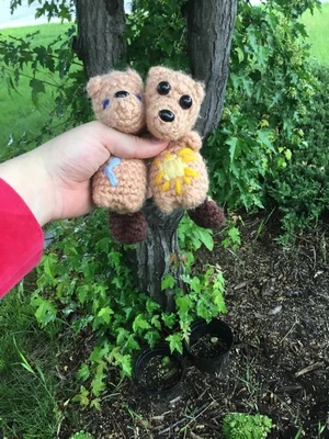 Stella and Nebula the Celestial Beavers
