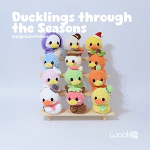 Ducklings through the Seasons