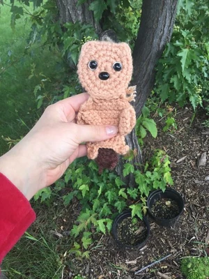 Maple Syrup The Pocket Beaver