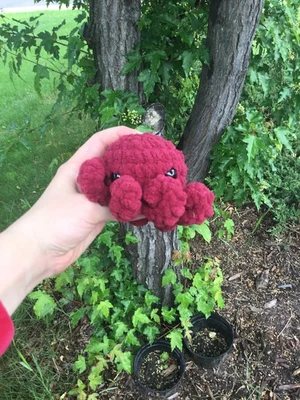 Squirt the octopus