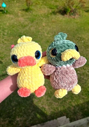 Baby duckling