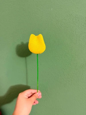 Tulip