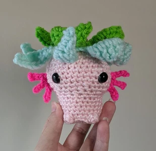 Sitting Flower Axolotl