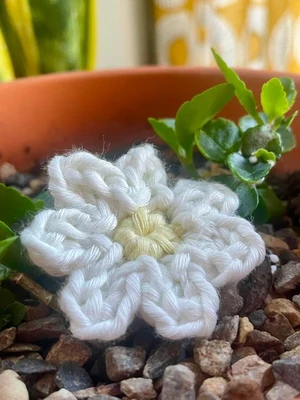 Pretty Little Flower