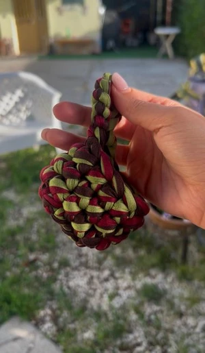 earphone holder