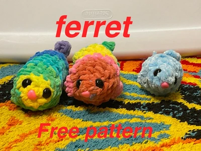 Ferret ( ^ - . - ^)