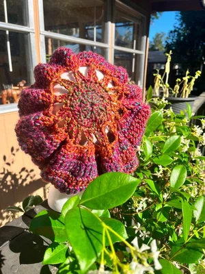 The Sunstar Beanie