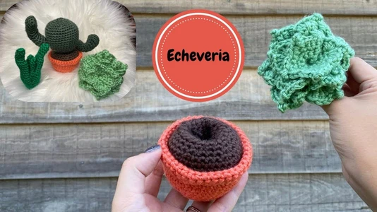 Crochet Echeveria | Switchable Succulents