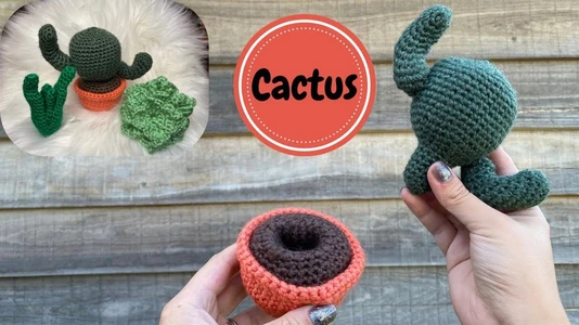 Crochet Cactus | Switchable Succulents