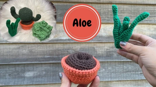 Crochet Aloe | Switchable Succulents