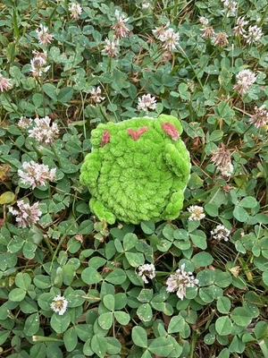 Froggy Pancake
