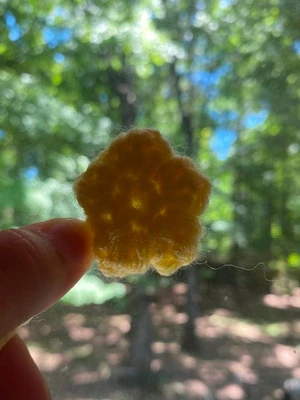 Mini 5-pointed Star!