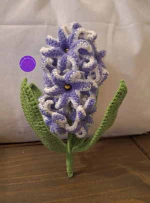 Hyacinth Flower
