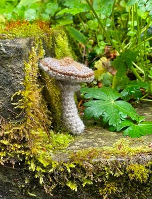 woolly-stemmed agaricus crochet mushroom