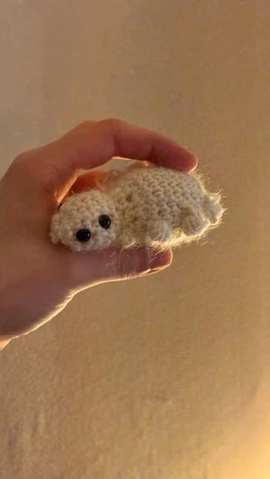 tofu the spider crochet
