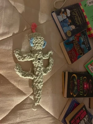 Lizard