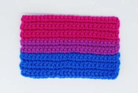 bi flag