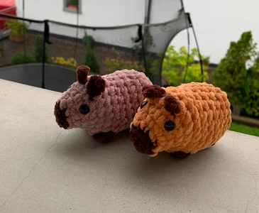 Capybara