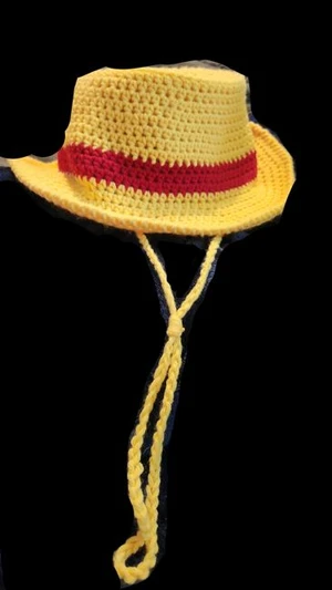 Luffys Straw Hat with head strap