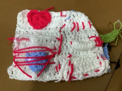 Hook organizer