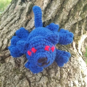 Spider Cat