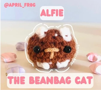 Alfie the Beanbag Cat