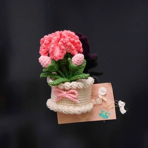Carnation Flower Basket Fridge Magnet Crochet Pattern