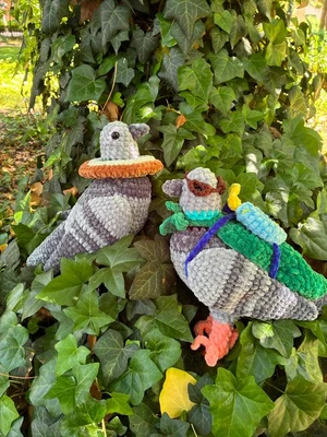 Pigeon Fashion Pack