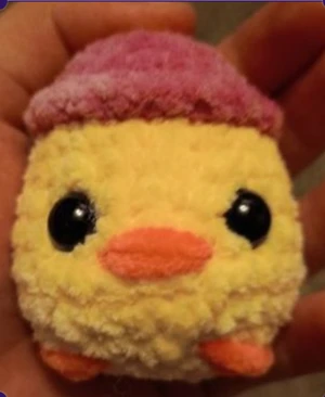 Cute chick with hat