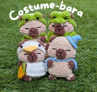 Costume-bara