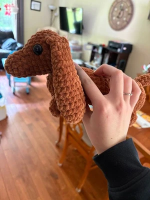 Dachshund