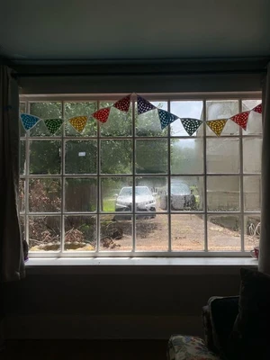 Pride Flag Bunting/Banner