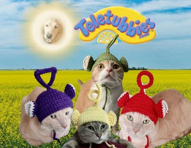 Cat Teletubbies Hats
