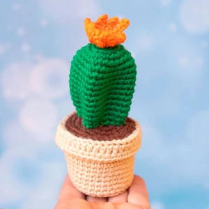 Blue candle cactus