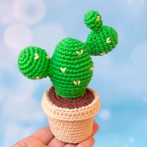 Prickly pear cactus